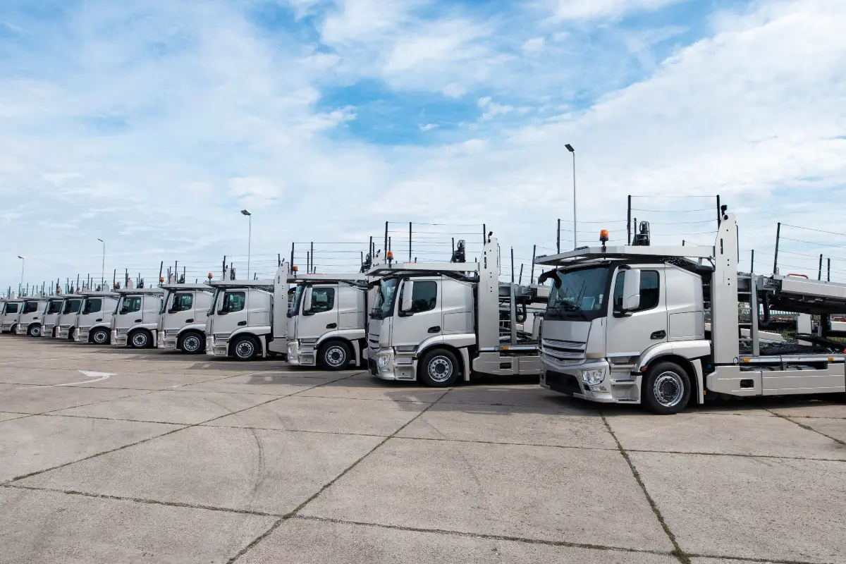 Fleet of car carrier trucks parked ready for vehicle transport.